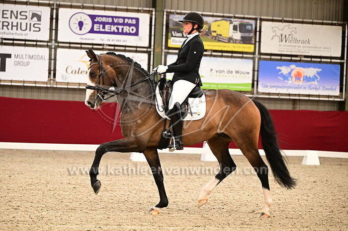 Mara de Vries - Osibisa