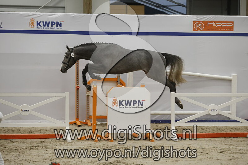 Romantico Rm v. Grandorado Tn - 071