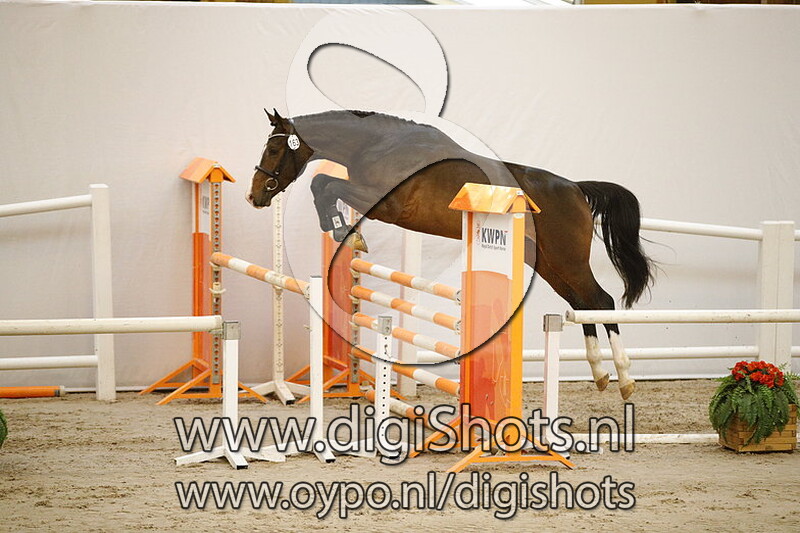 163 Lacosta v. Grandorado TN