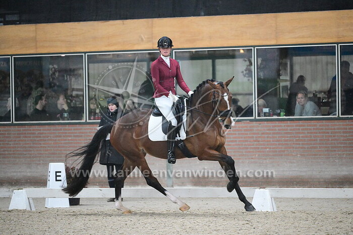 Nicole van Miltenburg - Palma M