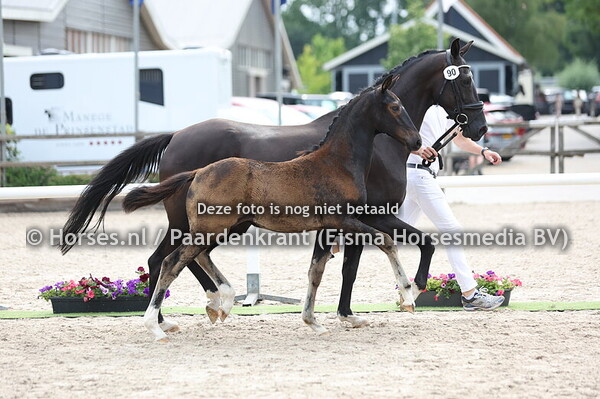 90 Vieni Vidi Vici H&C (Obsebbion Taongo x Mozette)