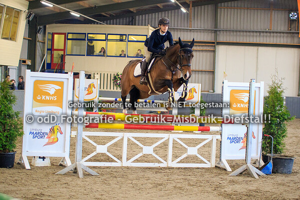 Regiokampioenschappen Limburg Springen Paarden B 17-02-19