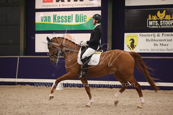 Brandon Duijndam - Ludo D.