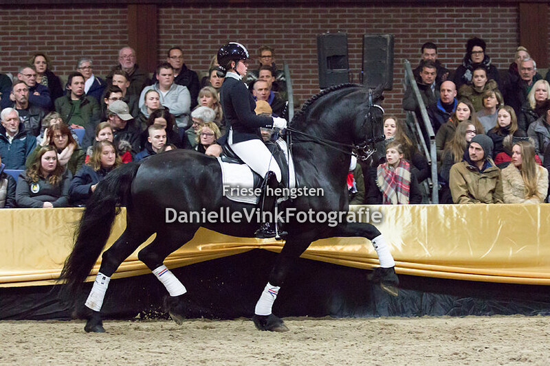 Hengstenshow Lunteren 24-02-2018 -Djoerd 473