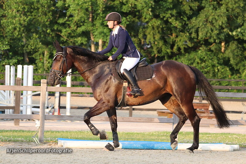 Tolbert 20-06-2019 Avond L