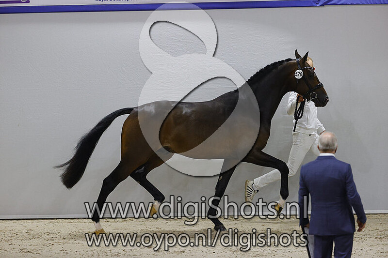 Nicky L v. Just Wimphof