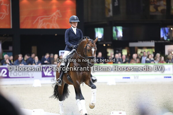 King van het Haarbosch