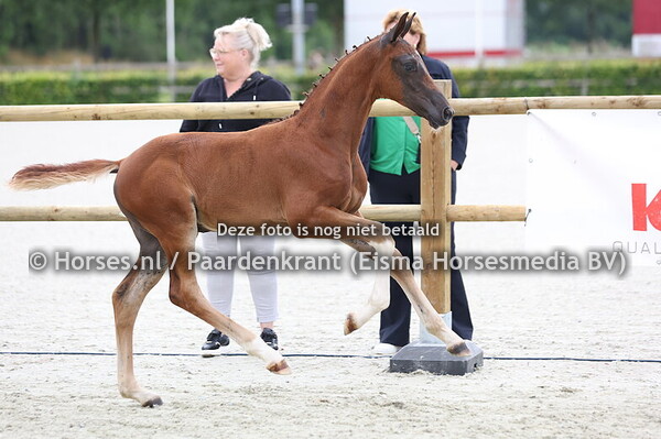 51 Vaya Con Dios (Bon Esprit x Obvious v. Jupiler SM)