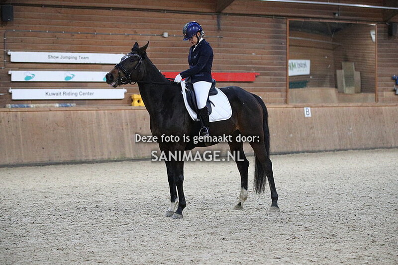 PV Midland Dressuur 12-11-2023 15.15 uur