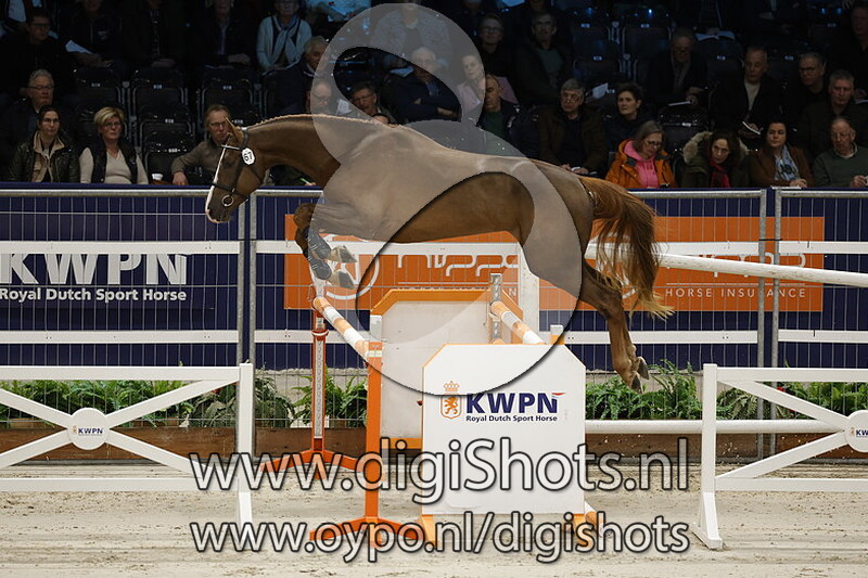 Edingurgh Optimus Z v. Ermitage Kalone - 067