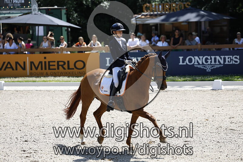 Gentle van Wittenstein V