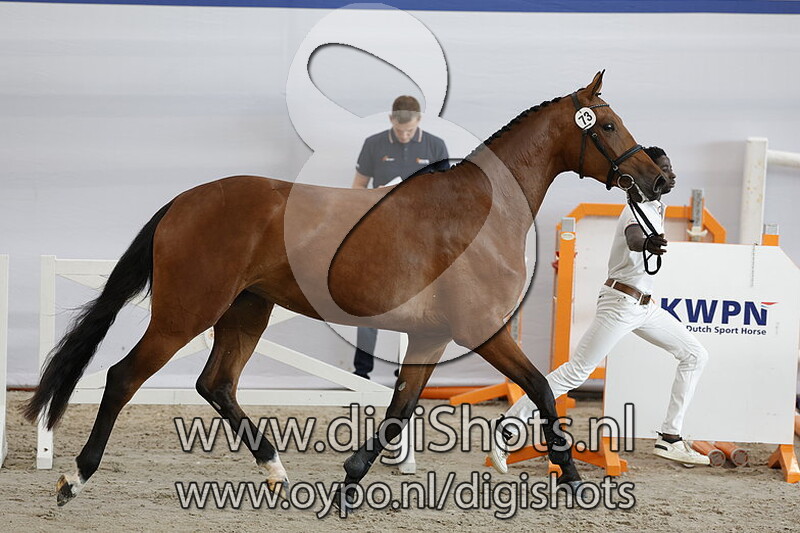 Prima Donna ES v. La Costa ES