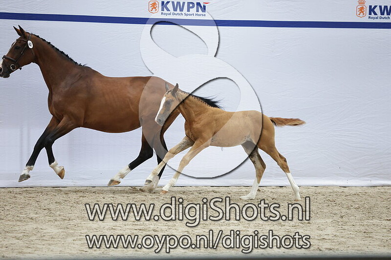 Vuresca v. Cero Blue TN