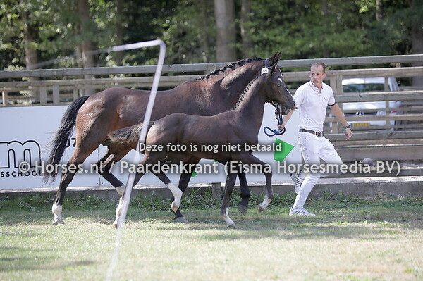 22 So Handsome SL (Nick Wimphof x Idocus)