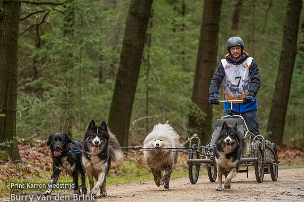 Prins karrenwedstrijd