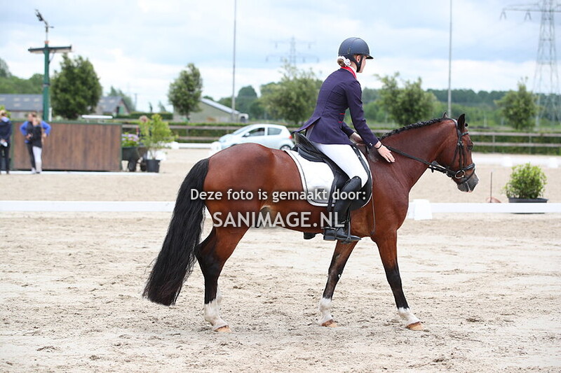 Zilfia's Hoeve Dressuur 16-06-2024 Ring 2 10.00-12.00 uur