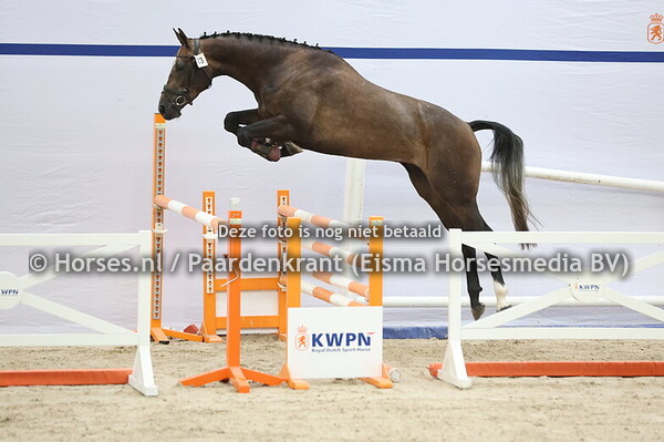 73  Syan Toltien Fan e Five (For Treasure x Gyan Toltien)