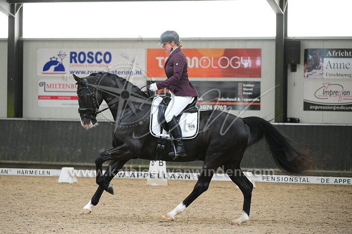 Nynke Kiela-Siderius - Jeffelin Royal