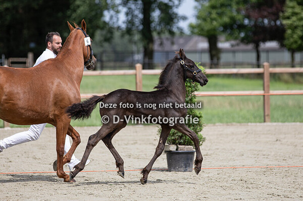 06. Brabo van de Sprong