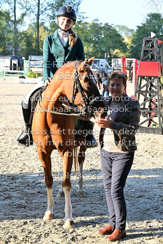 8 50-60 cm - Cat. D-E - pony's - rijstijl zonder barrage