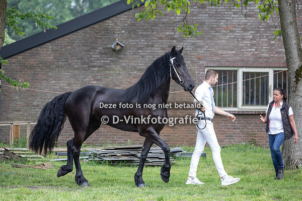 11. Pip van 't Hoge Meinen