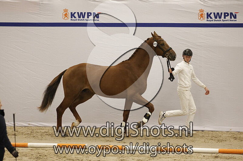 Sundance Kid VK v. Dynamic Dream