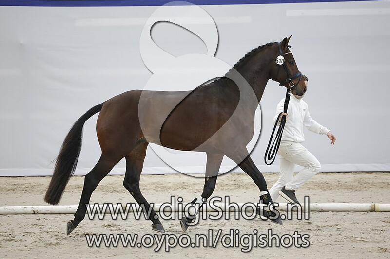 Piazzo v. Nespresso - 510