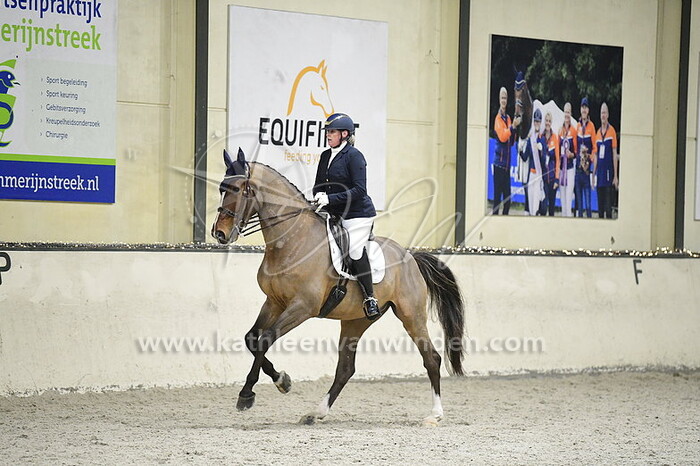 Ilse van Soest - Elvis