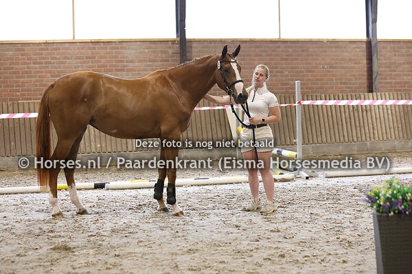 27 Se La Sina O (Don VHP x Hersina v. Triomphe de Muze)