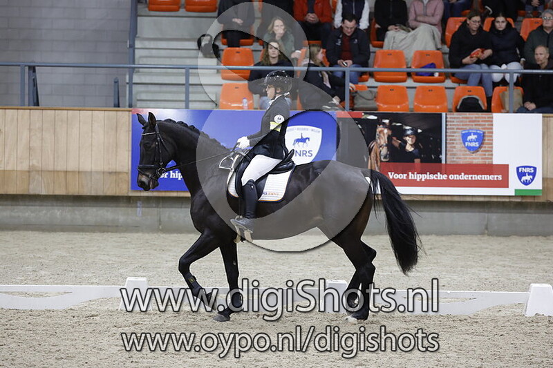 Natasja van der Velden