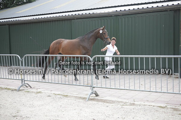 108 Mystery (Indian Rocj x Evita v. Westpoint)