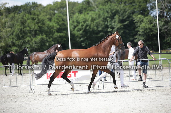 93 Marixandra KHD (Fashion Maker x Dexamdra v. Rhodium)