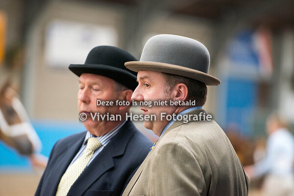 WPCV Stallion & Youngstock Show