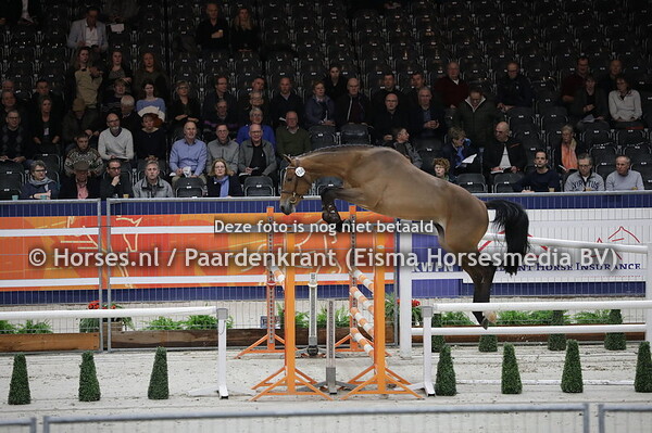 150 Moonlight (High Shuterfly x Cantos)