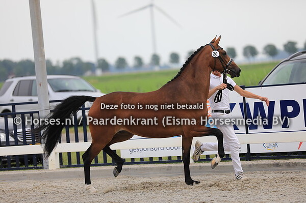 20 Loïs Lena v Glock's Toto jr