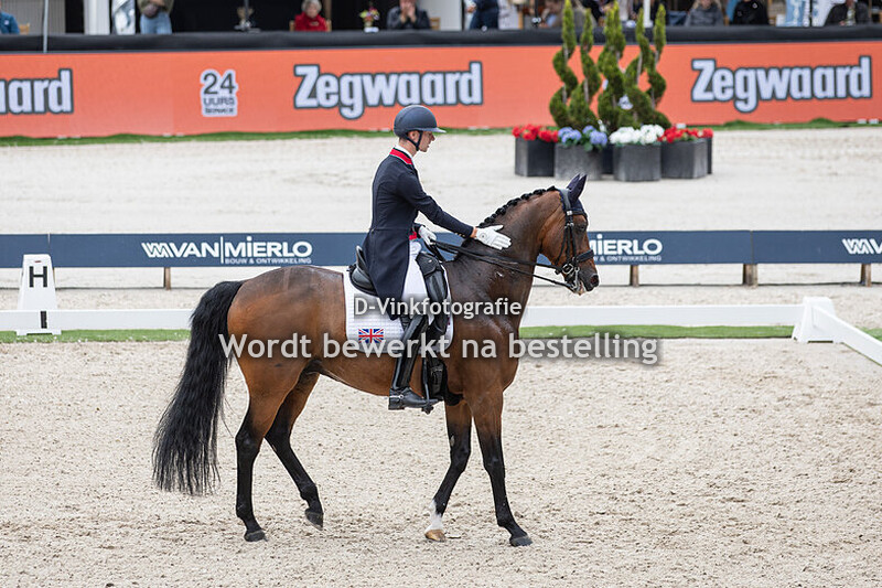 Lewis Carrier - Diego V