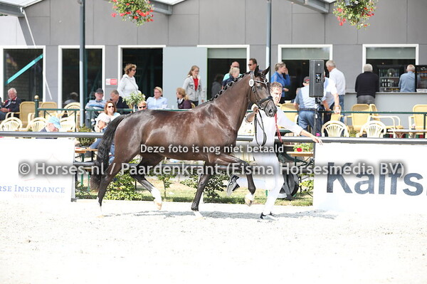 91 Larinka Weering (Ebony x Warina v. Rousseau)