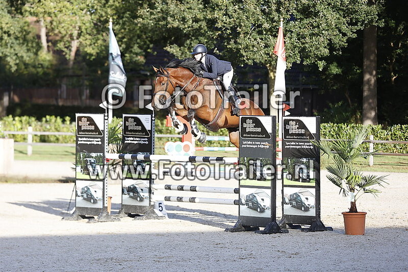 fabienne lichtenvoort cats