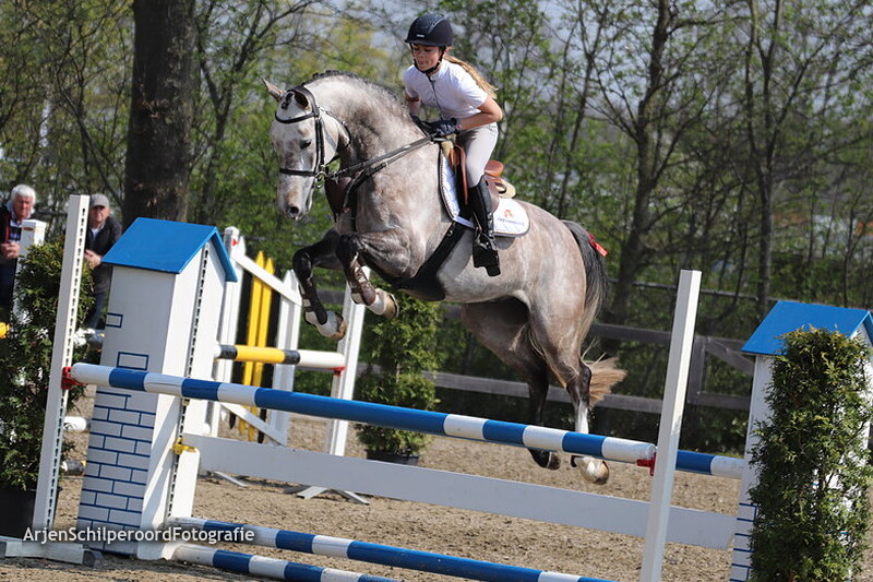 Hippisch Nieuwleusen B 