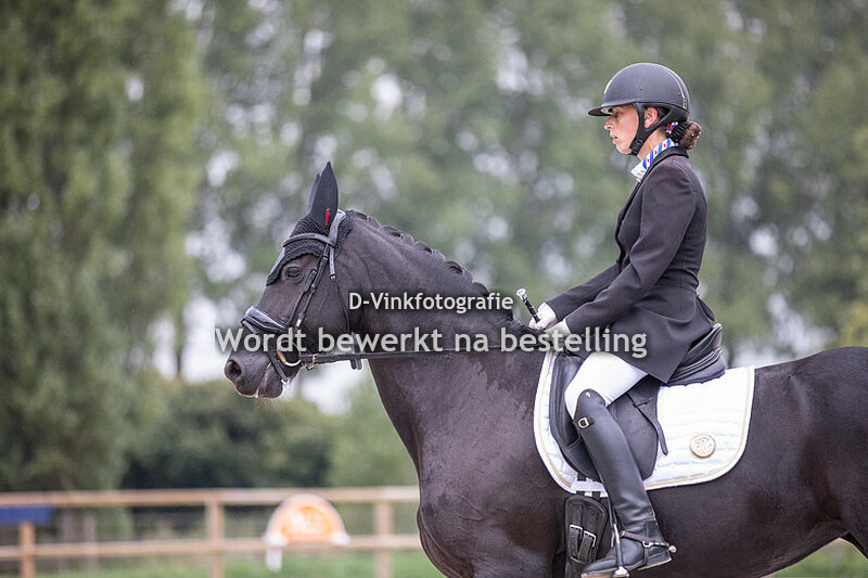 Diane Hollander - Minke