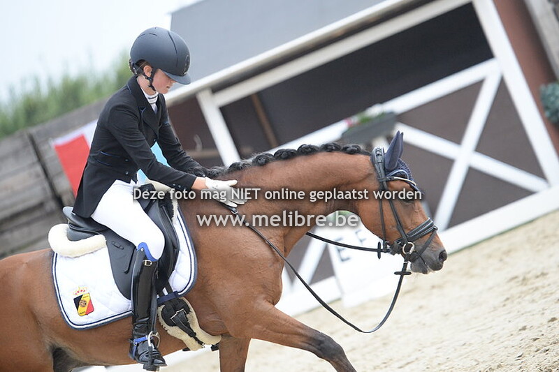 Pony par Equipe