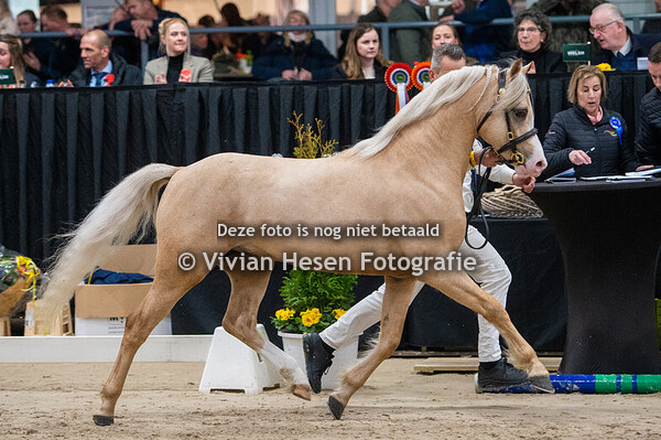 2e Bezichtiging Sectie B