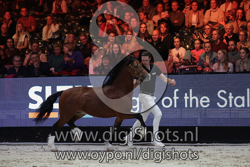 NWPCS Welsh Stamboek