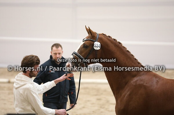 29-11-22 KWPN 1e bez. dressuur