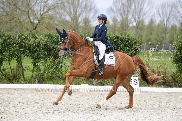 Seline van der Wiel - Friend