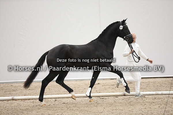 551 Secret x Westpoint