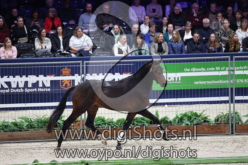 Sting v. My Blue Hors Santiano