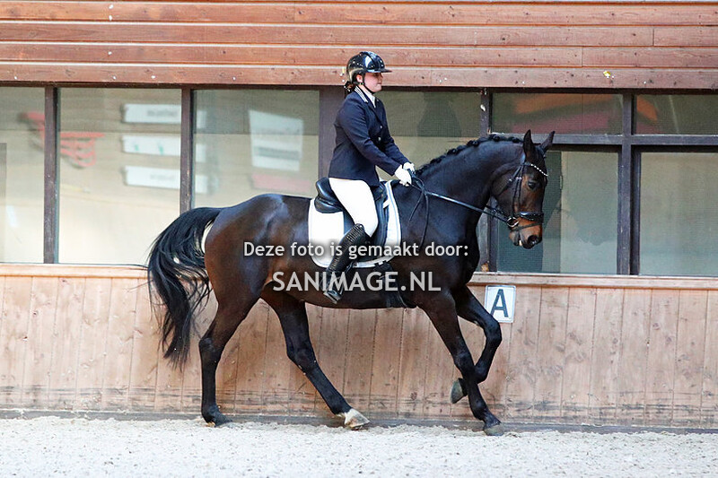 PV Midland Dressuur 26-03-2022 13.00 uur