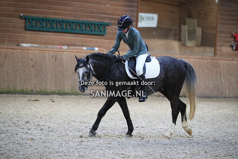 PV Midland Dressuur 23-11-2024 14.45 uur