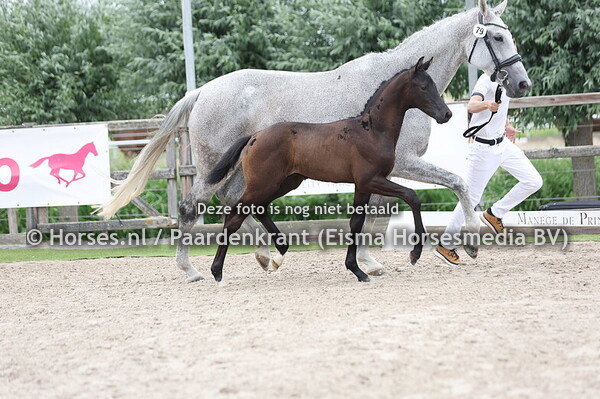 79 Villion (One Million x Kadisha v. ferdeaux)